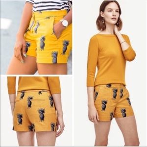 Ann Taylor Devin City Shorts